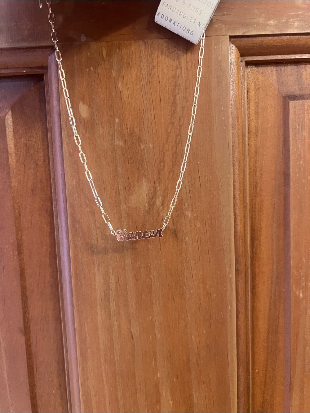 NWT Anthropologie Gold Plated Zodiac necklace - Cancer